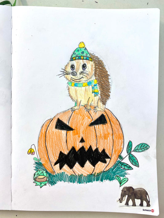 Sommersemester – Phantastische Motive zeichnen für unsere Kleinsten – freitags vom 06.03.26 bis 24.07.26