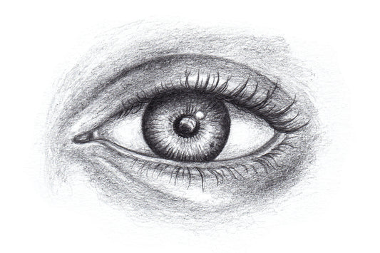 Wochenend-Workshop Kinder mit Eltern: Grundlagen des Portraitzeichnens - von der ersten Skizze bis zur fertigen Zeichnung! - Samstag 22.03.25 von 14:00 bis 17:00 Uhr