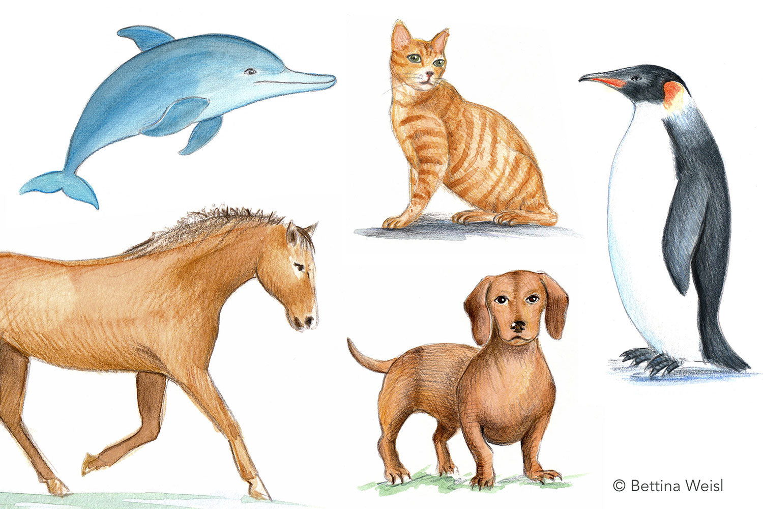 Wochenend-Workshop Kinder mit Eltern: Realistisches Zeichnen – Tiere leicht gemacht - Samstag 31.01.26 von 10:00 bis 13:00 Uhr