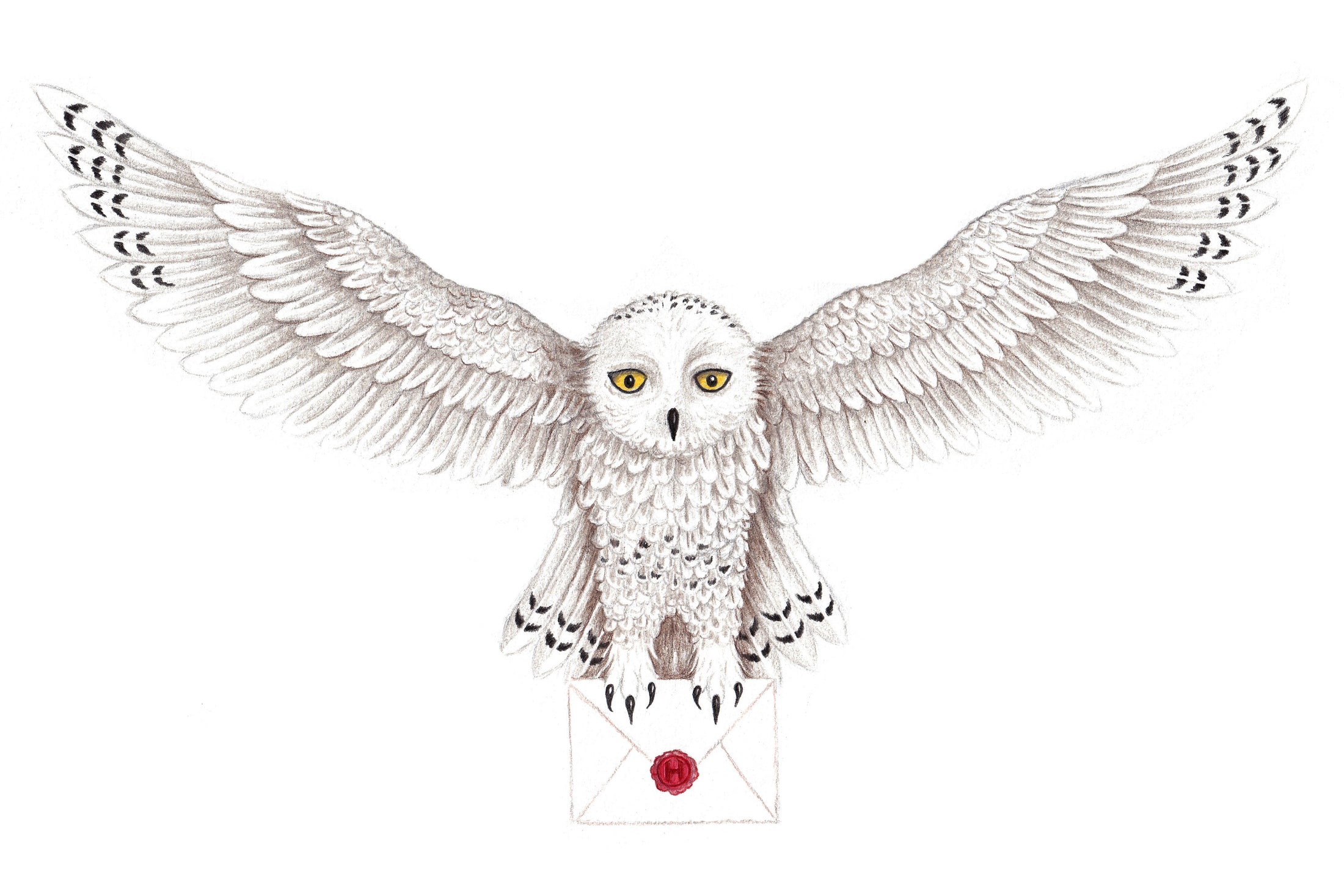 Wochenend-Workshop Kinder mit Eltern: Magische Eulen  - von der ersten Skizze bis zur fertigen Zeichnung  - Samstag 18.04.26