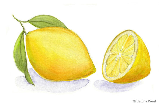 Wochenend-Workshop — Realistisches Zeichnen mit Aquarellfarben und Aquarellstiften - Samstag 12.04.25 von 14:00 bis 17:00 Uhr