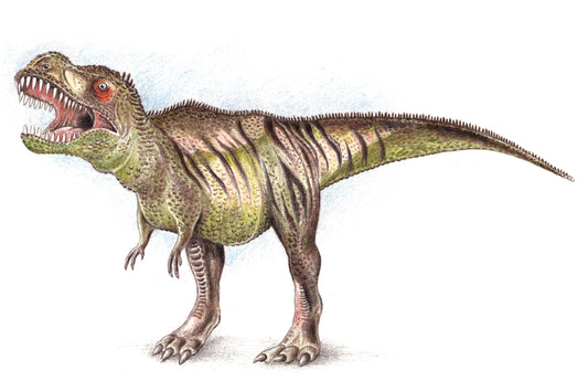 Wochenend-Workshop für Kinder mit Eltern: Jurassic Park – Wir zeichnen Dinosaurier von der ersten Skizze bis zur fertigen Zeichnung - Samstag 14.11.26 von 14:00 bis 17:00 Uhr