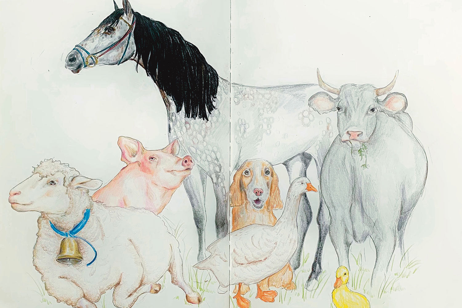 Ferien-Workshop: Kreative Ferien – Tiere & Leben auf dem Bauernhof