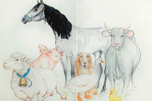 Ferien-Workshop: Kreative Ferien – Tiere & Leben auf dem Bauernhof
