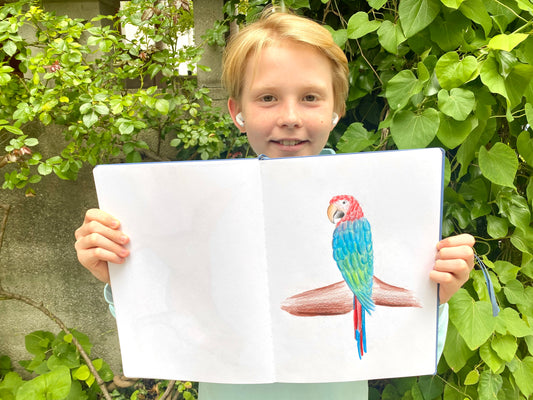 Sommersemester – Realistisches Zeichnen – freitags vom 06.03.26 bis 24.07.26