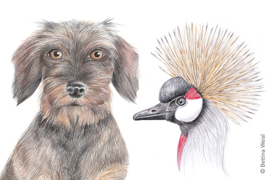 Wochenend-Workshop: Fabelhafte Tierportraits zeichnen - Samstag 23.01.27 von 10:00 bis 13:00 Uhr