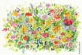 Bild in Galerie-Betrachter laden, Wochenend-Workshop Kinder mit Eltern:  Aquarellkurs Flower Power – einfach Blumen malen - Samstag 21.03.26 von 10:00 bis 13:00 Uhr

