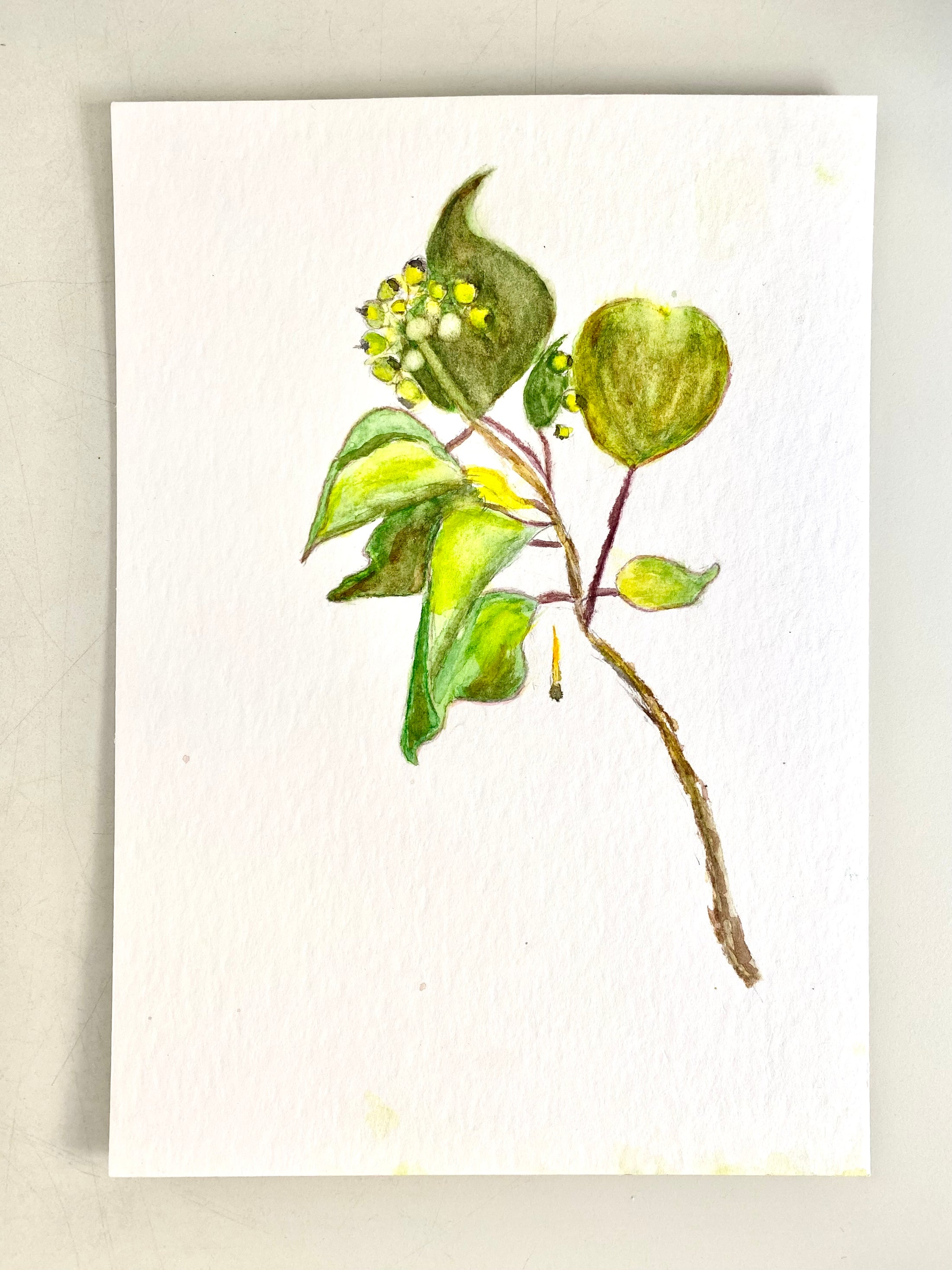 Blockkurs – Grundlagen der Aquarellmalerei – montags - 12.10. bis 30.11.26