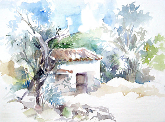 Blockkurs – Grundlagen der Aquarellmalerei – montags - 13.10. bis 01.12.25