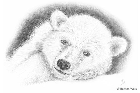 Wochenend-Workshop Kinder mit Eltern: Realistisches Tierportrait Eisbär